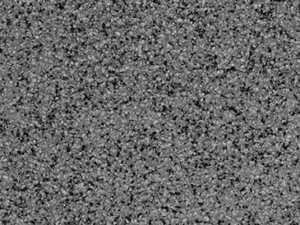 Quartz Shield Gallery